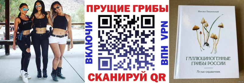Галлюциногенные грибы GOLDEN TEACHER  Лихославль 